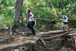 BIB: 
                            <button type="button" onclick="openModal(27555747)" class="btn btn-primary btn-sm float-right btn-popup" data-toggle="modal" data-target=".modal-high-quality">
                        <i class="fas fa-shopping-cart"></i> Add to Cart
                    </button>
                                            <button type="button" onclick="isThisMe(27555747, true)" class="btn btn-success btn-sm float-right btn-popup btn-isme hidden" data-toggle="tooltip" data-placement="bottom" title="นี่คือรูปของคุณใช่ไหม คลิกที่นี่เพื่อเอาเข้าอัลบั้ม">
                        <i class="fas fa-plus"></i> Add to album
                    </button>
                    <button type="button" onclick="isThisMe(27555747, false)" class="btn btn-warning btn-sm float-right btn-popup btn-isnotme hidden">
                        <i class="fas fa-ban"></i> Remove from album
                    </button>